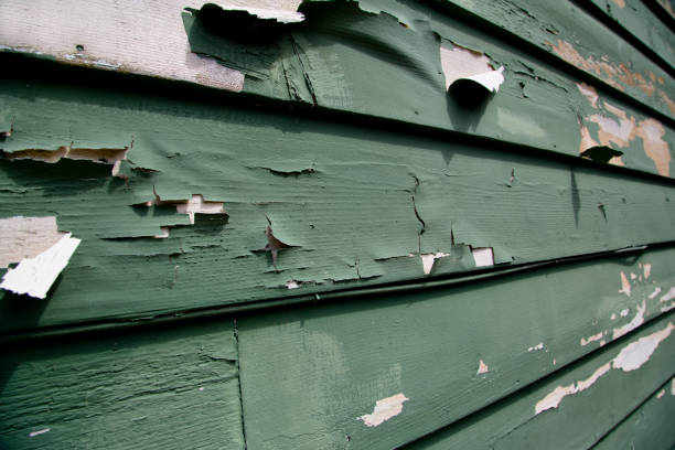 Best Custom Trim and Detailing for Siding  in Tanque Verde, AZ