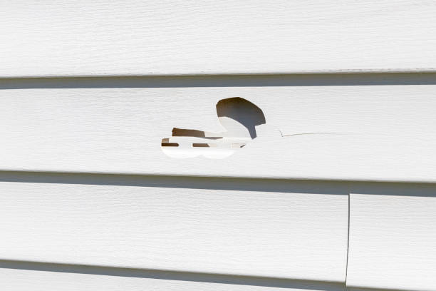 Best James Hardie Siding  in Tanque Verde, AZ